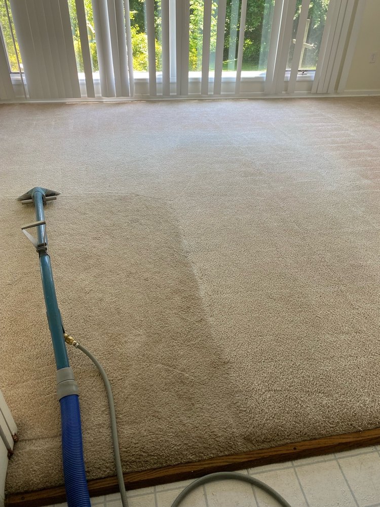 ULTIMATE CARPET CLEANERS Updated August 2024 129 Photos 900