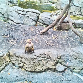 Prospect Park Zoo - Zoos Near Me - Brooklyn, New York Prospect Park Zoo - Zoos Near Me - Brooklyn, New York