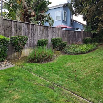 Well Set Fence - Before - Fences & Gates Near Me Well Set Fence - Before - Fences & Gates Near Me