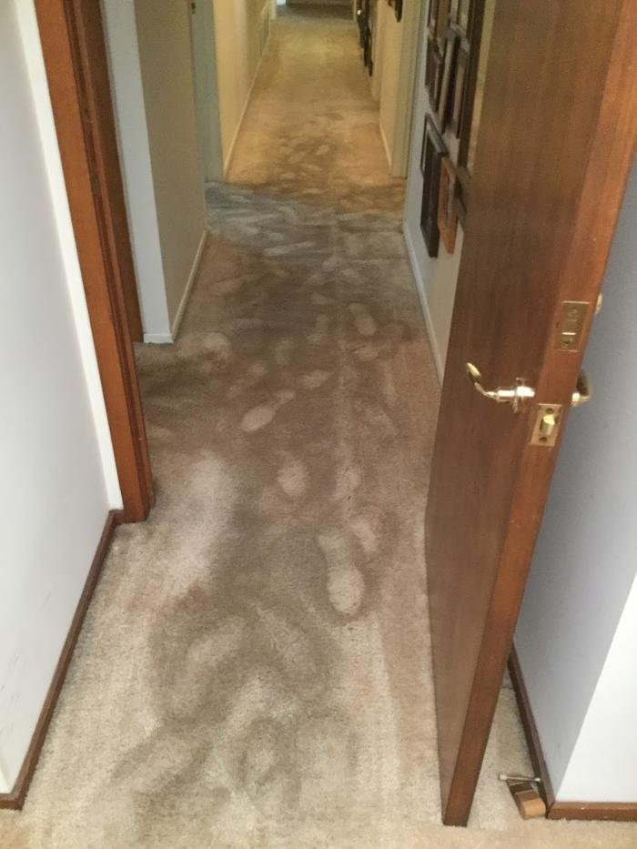 MILLIKEN CONSTRUCTION & RESTORATION Updated July 2024 36 Photos