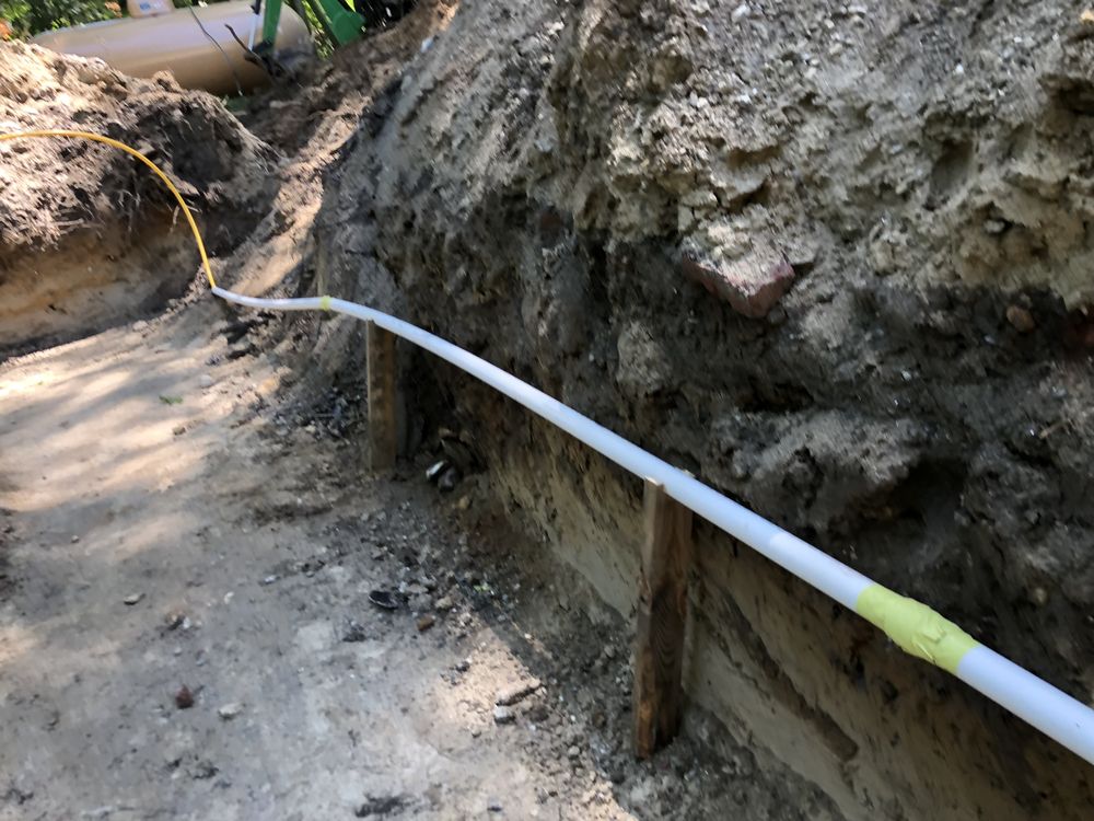 Slide of Mr. B's P&H