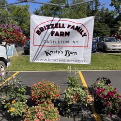 Kristy's Barn - Farmers Markets - Delmar, Saratoga, & Menades