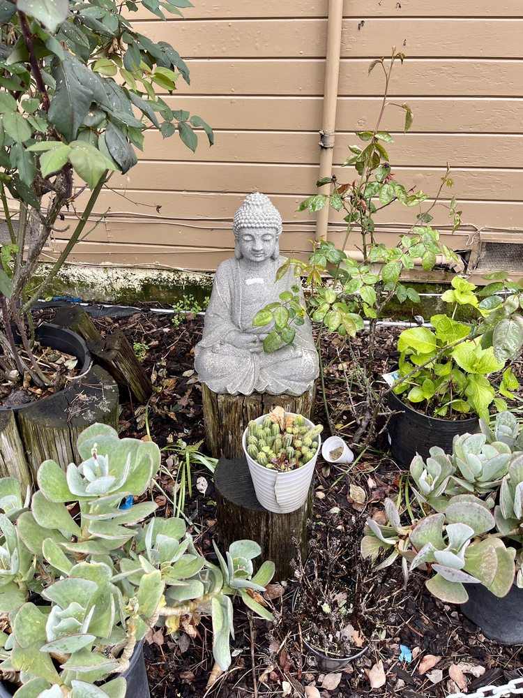 Wat Meangkolvorn - social services organization in Santa Rosa, CA