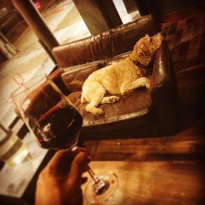 Bacchus Wine Bar by null