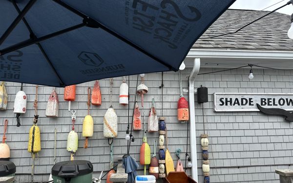 The South Shore Fish Shack by null