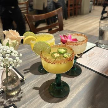 Paloma Restaurante - New Mexican Cuisine Near Me - Collingswood, New Jersey Paloma Restaurante - New Mexican Cuisine Near Me - Collingswood, New Jersey