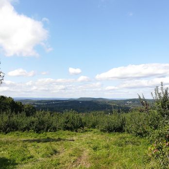 Masker Orchards - View of the orchards from the back - Fruits & Veggies Near Me - Warwick, New York