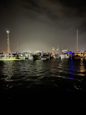 Mangrove Marina by null