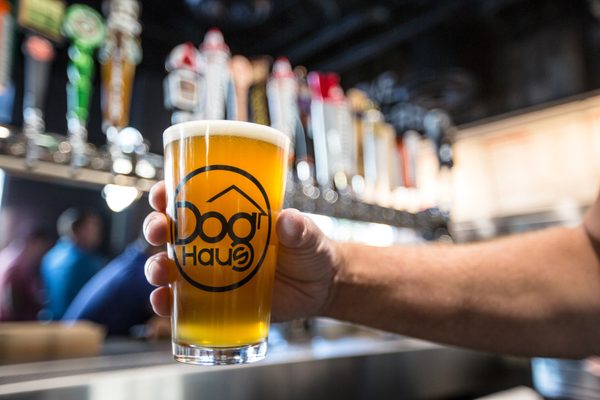 Dog Haus Biergarten by null