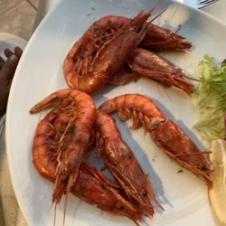BAR Ristorante Il Giardino di Marini Virgilio - Gamberi rossi alla griglia
