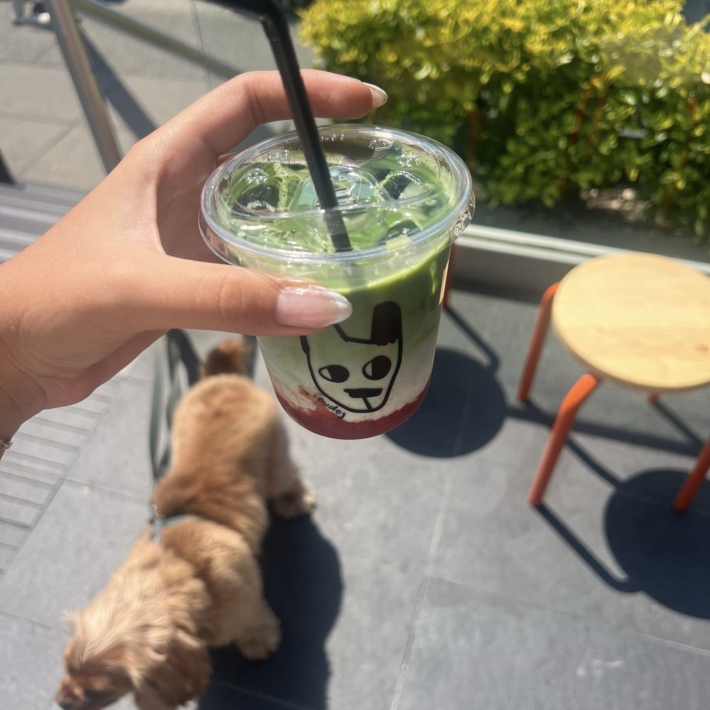 Cowdog Coffee - Strawberry matcha - Cafes Near Me - Vancouver, British Columbia Cowdog Coffee - Strawberry matcha - Cafes Near Me - Vancouver, British Columbia