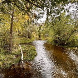 Carson River Park