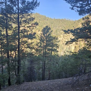 Santa Fe National Forest - Parks Near Me