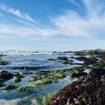 Asilomar State Beach - Low tide - Parks Near Me - Pacific Grove, California