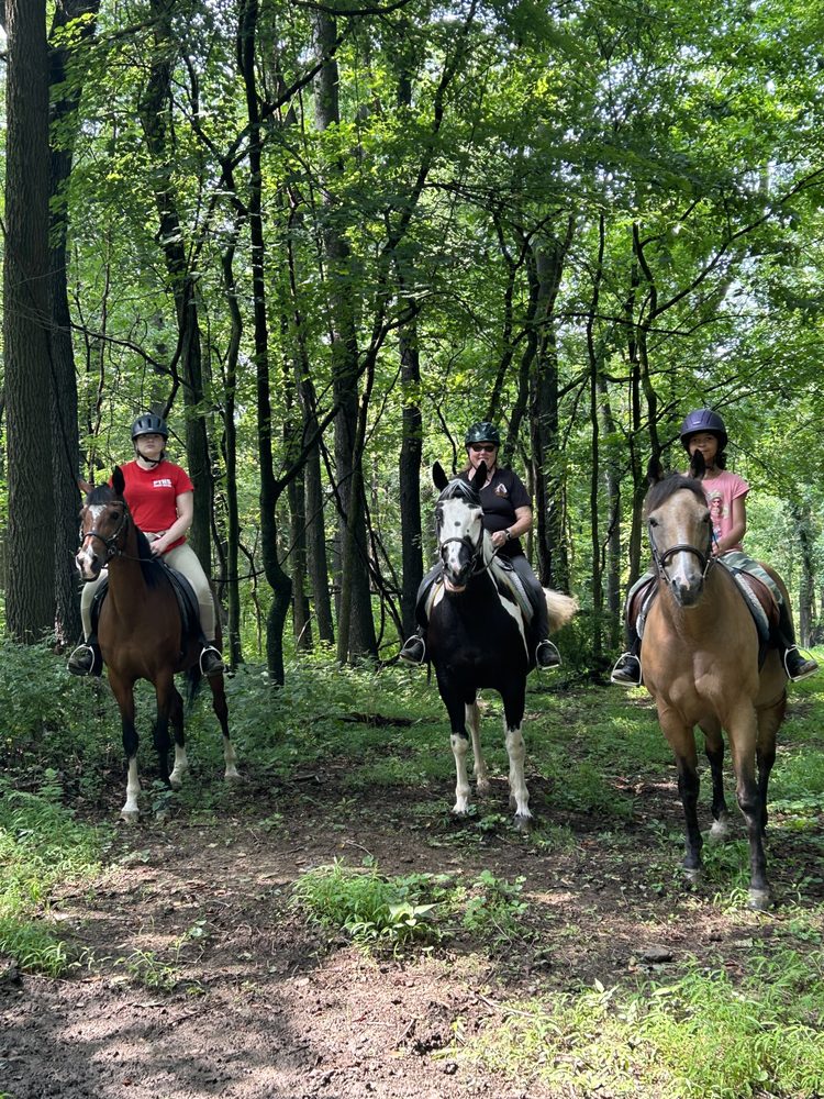 Bethel Park Stables - equestrian in Bethel Park, PA