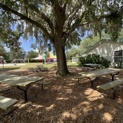 Montessori School of East Orlando