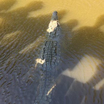 El Manglar - Mexican Near Me - Zihuatanejo, GRO
