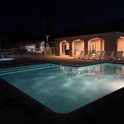 Professional Pool Service...Since 1981!