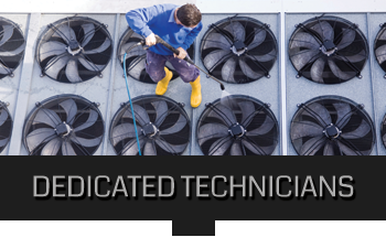 Slide of The Severn Group