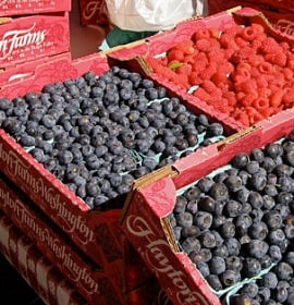 Magnolia Farmers Market by null