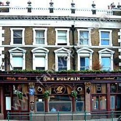 The Dolphin