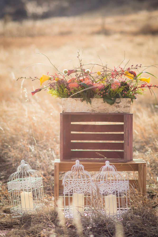 I’M PARTY TRAINED 42 Photos Loveland, Colorado Party Equipment