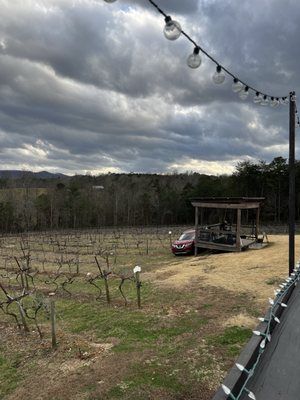 Ott Vineyards And Winery by null