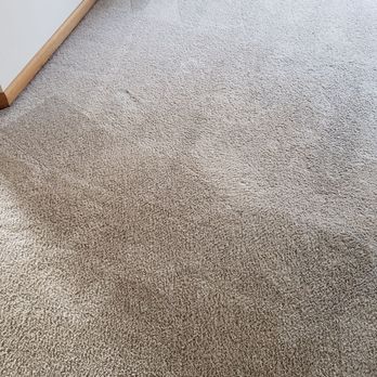 Freedomclean - After cleaning the stain from my dog! - Carpet Cleaning Near Me - Joliet, Illinois Freedomclean - After cleaning the stain from my dog! - Carpet Cleaning Near Me - Joliet, Illinois