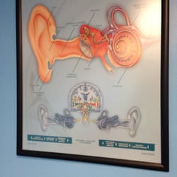 Acousticon of Flushing