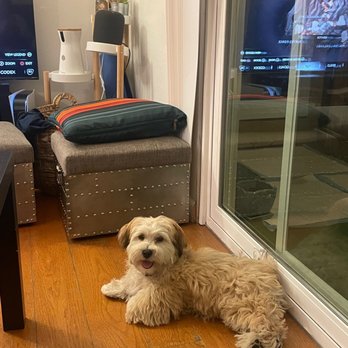 Off The Grid Pet Sitting - Pet Groomers Near Me