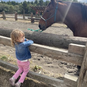 Long Beach Horse Rides - Horseback Riding Near Me - Long Beach, Washington Long Beach Horse Rides - Horseback Riding Near Me - Long Beach, Washington