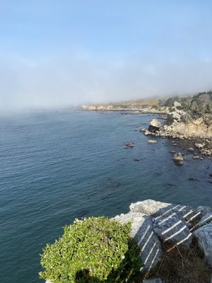 Salt Point State Park by null