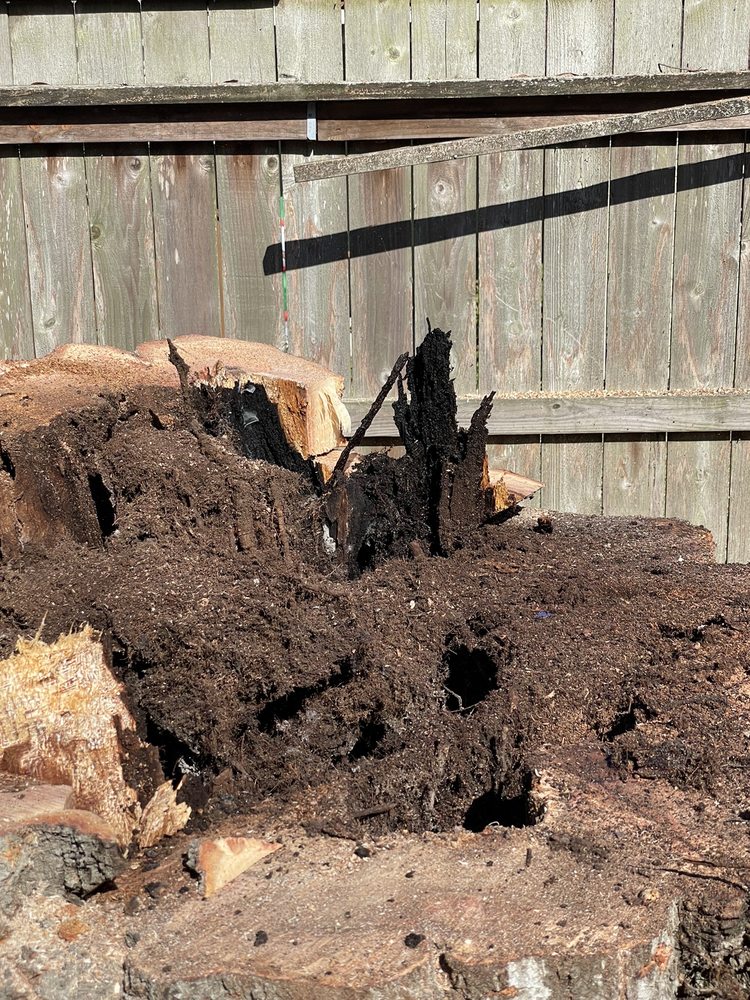 Premier Tree Service - tree service in Geismar, LA