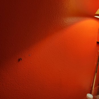 Lambert Inn - Roach on Bedroom wall - Hotels Near Me - Whittier, California Lambert Inn - Roach on Bedroom wall - Hotels Near Me - Whittier, California