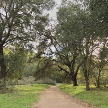 San Antonio Creek Trail - Along the trail, fall 2021 - Hiking Near Me San Antonio Creek Trail - Along the trail, fall 2021 - Hiking Near Me