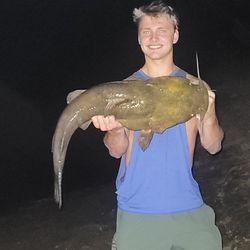 Walts Bait And Tackle