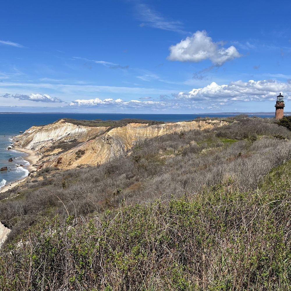 Homegrown Tours Mvi - Lighthouse - Historical Tours Near Me Homegrown Tours Mvi - Lighthouse - Historical Tours Near Me