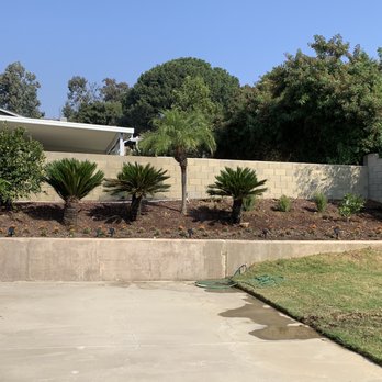 Felix Landscaping - After Photo (after installation of 60 mums) - Landscaping Near Me