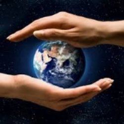 Sacred Spring Reiki Collective - Bringing affordable reiki to our community and to the earth