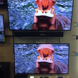 Best Buy - Gastonia - Big tvs - look at the tonsils on that Hippo in high def!!