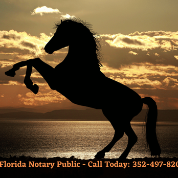 Nancy Faucher, Notary Public - Ocala Florida Notary Public Services Near Me - Notaries Near Me Nancy Faucher, Notary Public - Ocala Florida Notary Public Services Near Me - Notaries Near Me