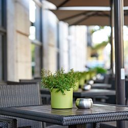 Le Bar - Terrasse