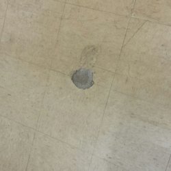 Dollar General
