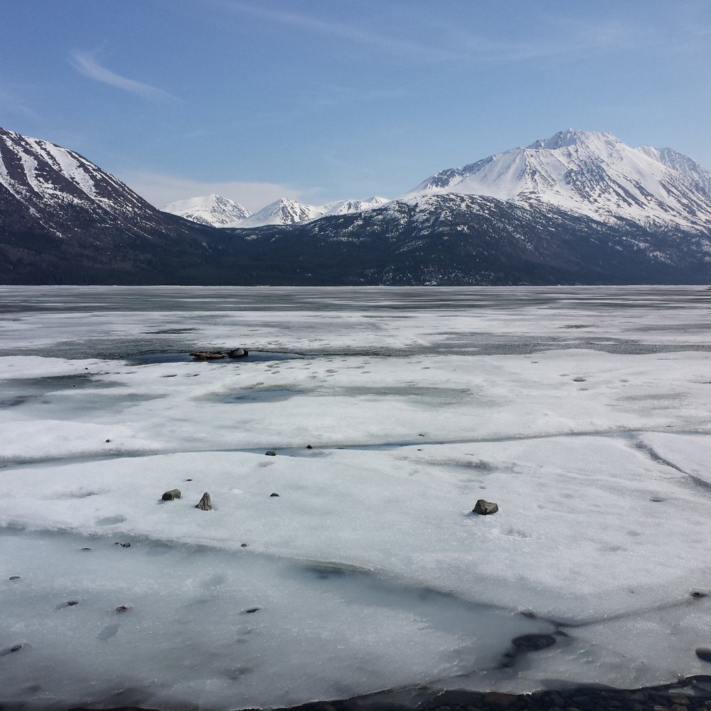 Frontier Excursions & Adventures - One of the many frozen over lakes we came across. - Tours Near Me - Skagway, Alaska Frontier Excursions & Adventures - One of the many frozen over lakes we came across. - Tours Near Me - Skagway, Alaska