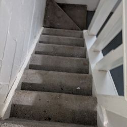 Magic Wand Carpet Cleaning