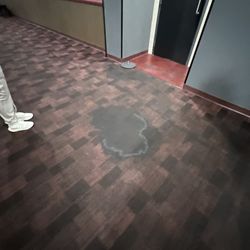 Xscape Theatres - Riverview 14 - Carpets