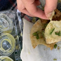 Corn tortilla ripping apart Corn tortilla ripping apart