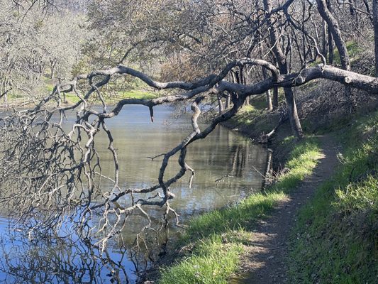 Foothill Regional Park by null
