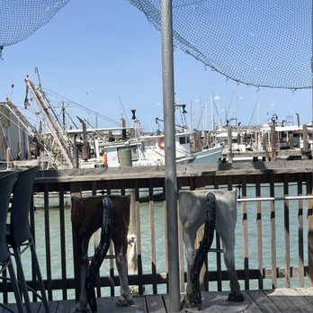 Moondog Seaside Eatery - Seafood Near Me - Fulton, Texas Moondog Seaside Eatery - Seafood Near Me - Fulton, Texas