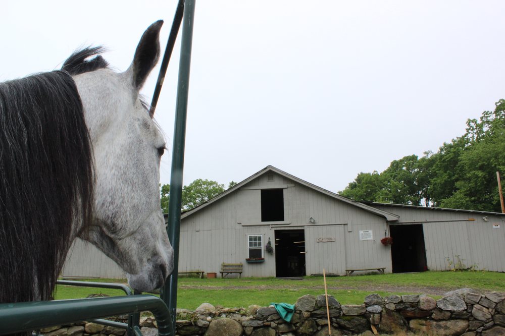 HIDDEN ACRES Updated October 2024 883 Baldwin Rd, Woodbridge